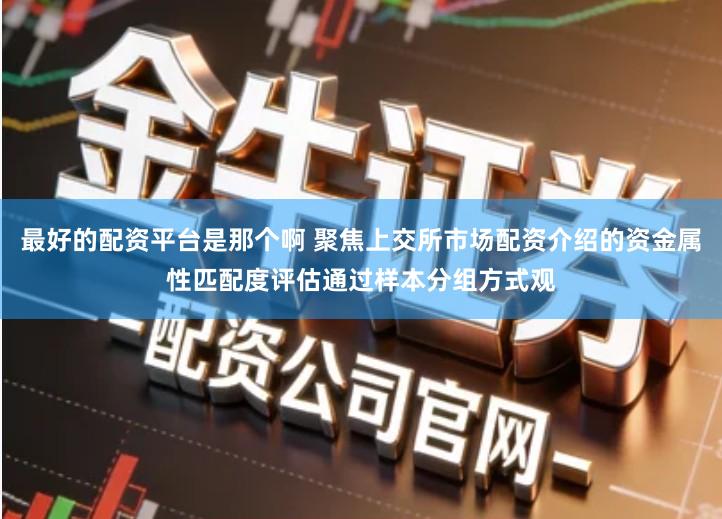 最好的配资平台是那个啊 聚焦上交所市场配资介绍的资金属性匹配度评估通过样本分组方式观